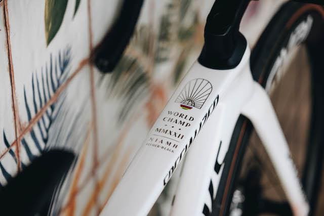 2023 SD Worx Specialized S-Works Tarmac SL7