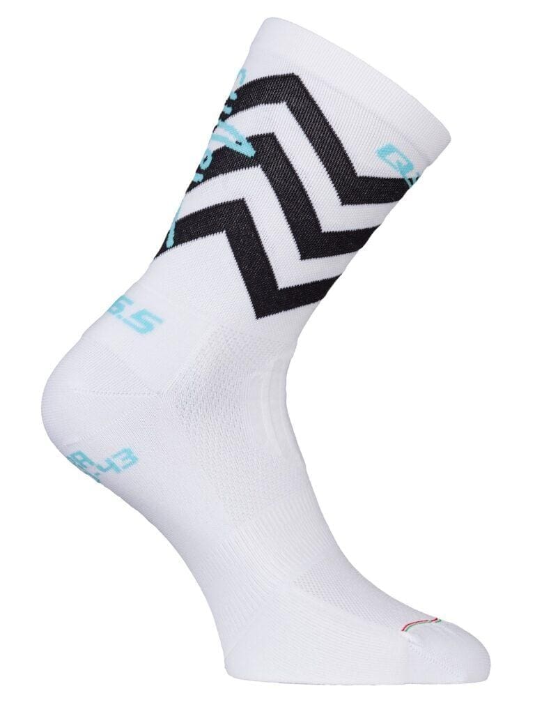 2023 Q36.5 collection capsule Gregarius Nibali Shark