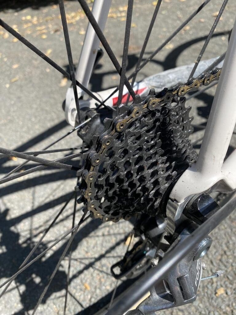 2023 Test Monkey Products Bio Degreaser et Bio Shampoo