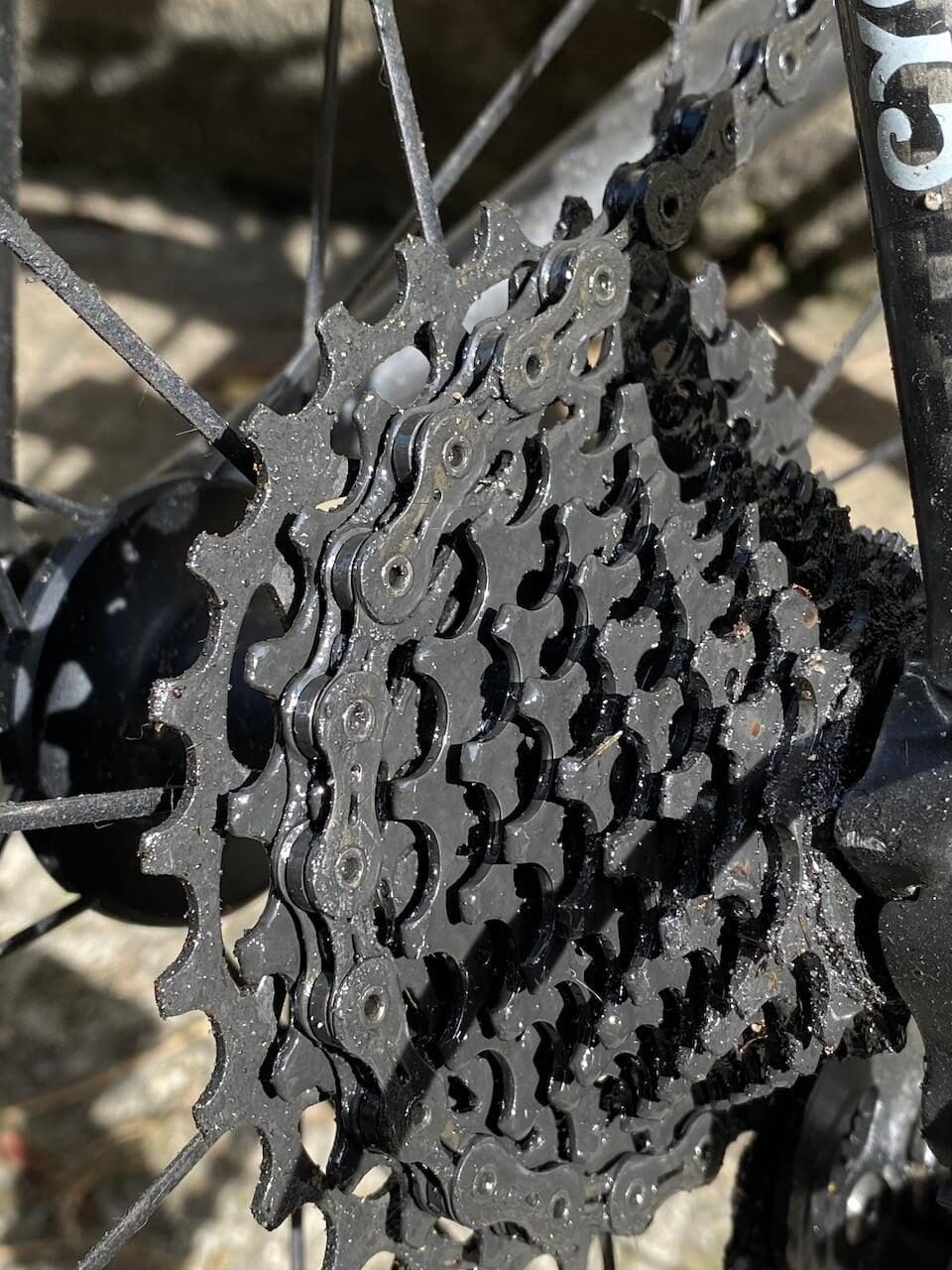 2023 Test Monkey Products Bio Degreaser et Bio Shampoo