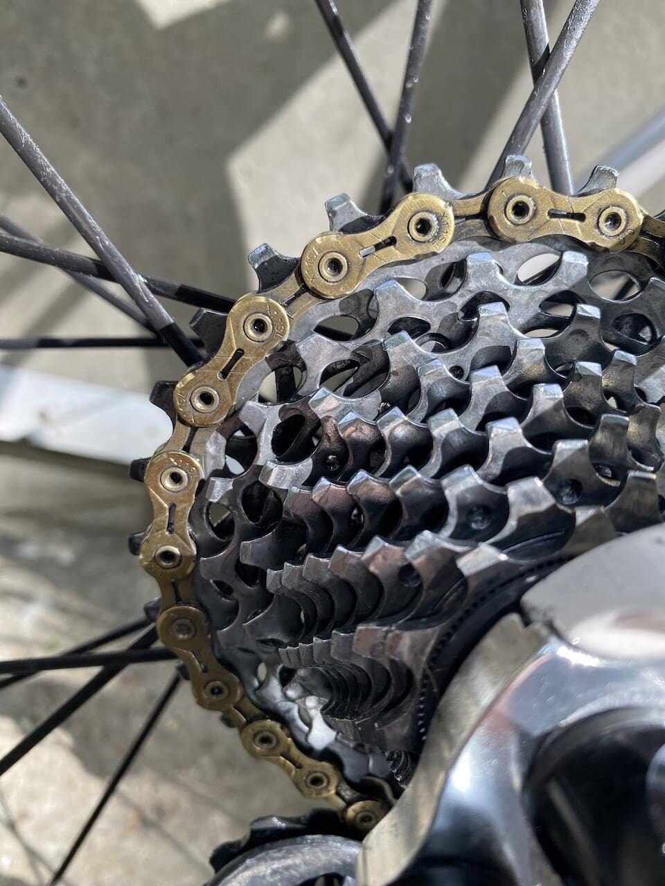 2023 Test Monkey Products Bio Degreaser et Bio Shampoo