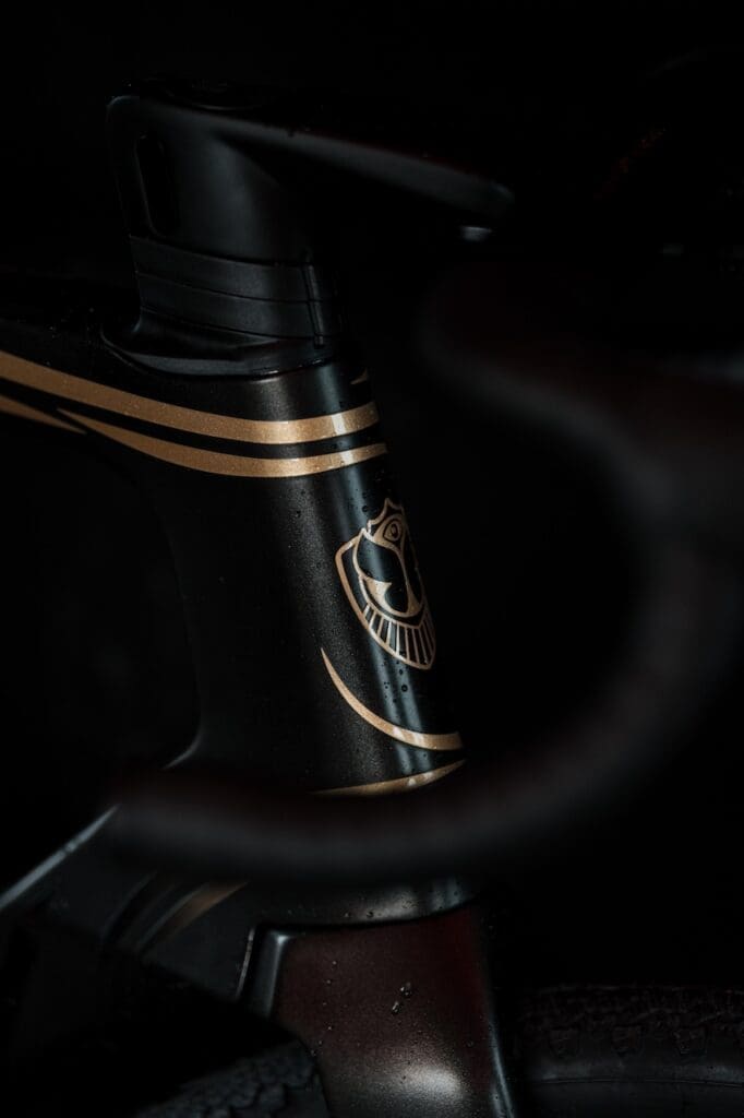 Tomorrowland X Ridley la collection capsule 2025 arrive