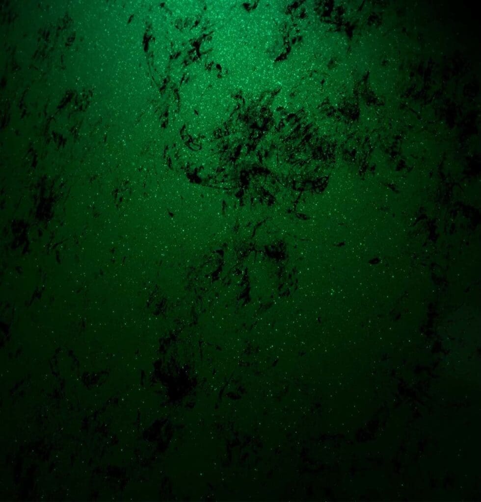 Couleur Abbel MyCanyon