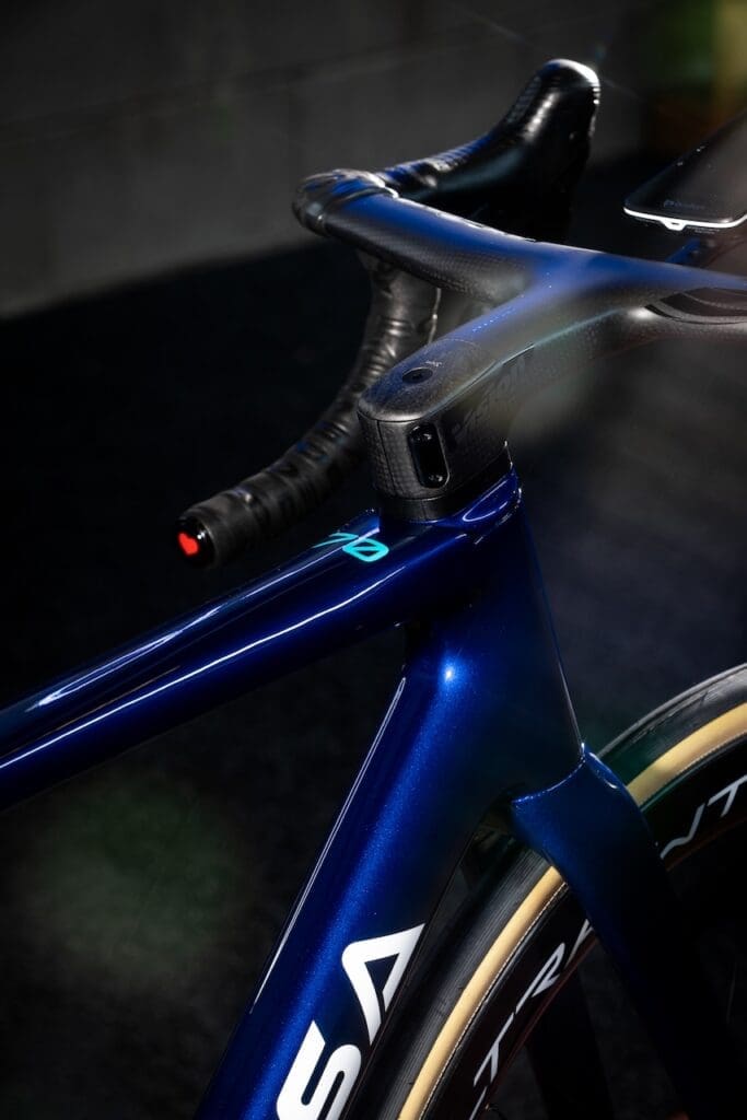 VF Group-Bardiani-Csf-Faizanè roule sur des vélos De Rosa