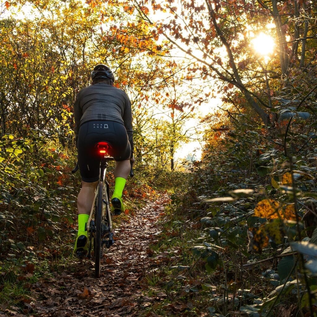 feu arrière Sigma Nyte Clip
